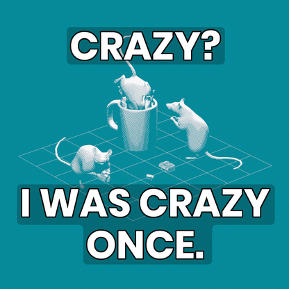 I was crazy once..